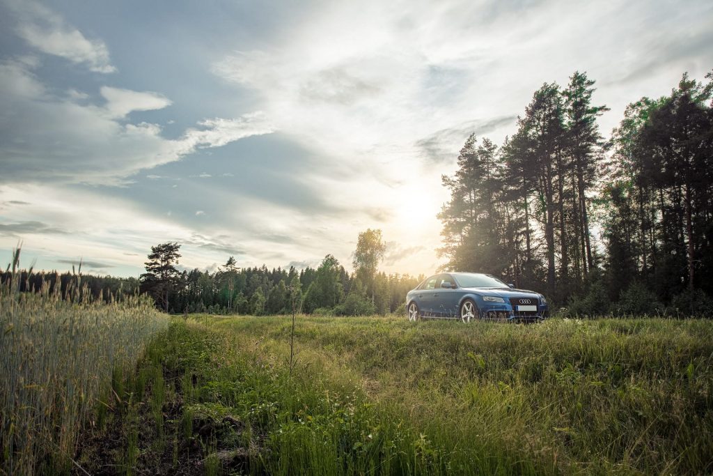 Blue Audi driving on grass in the woods with sun rays